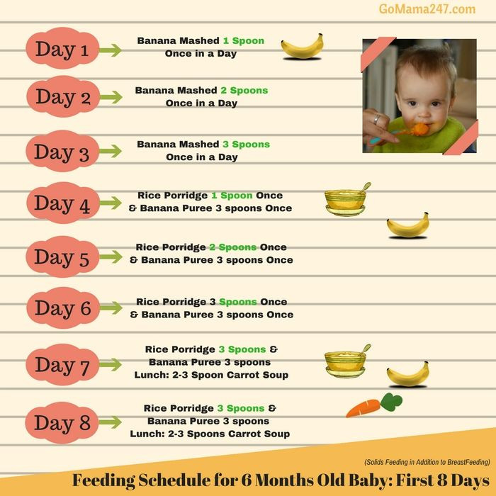 6 Month Old Baby Food Recipe
 Food Chart for 6 Months Old Baby