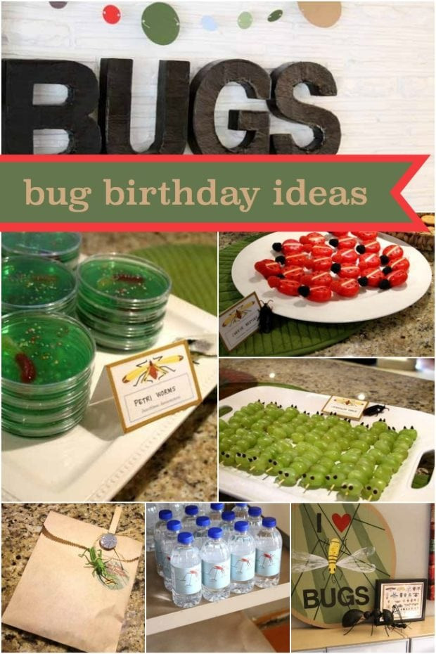 6th Birthday Party Ideas
 Boy s 6th Birthday Bug Themed Birthday