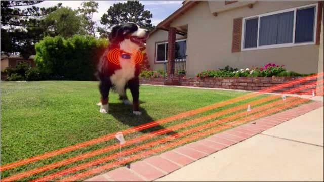 Above Ground Dog Fence
 Electric Dog Fence Reviews 2015 & 2016
