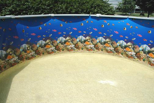 Above Ground Pool Liners
 Swimming Pools and More How to Clean Ground Pool
