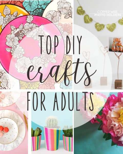 Adult Craft Projects
 top DIY crafts for adults 