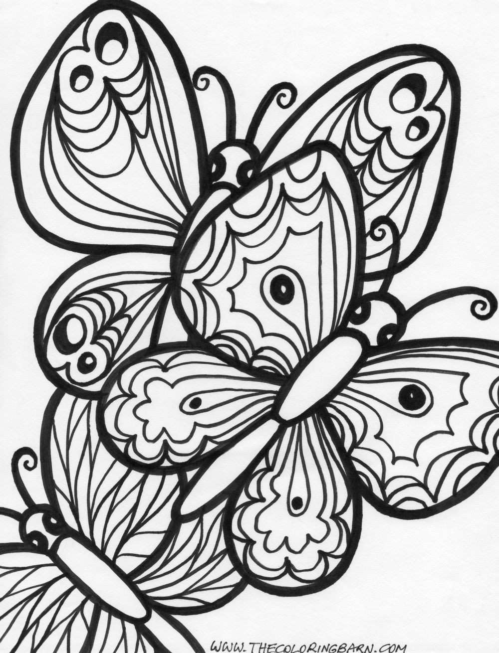 Adults Only Coloring Book
 coloring pages for adults