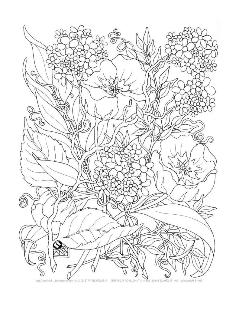 Adults Only Coloring Book
 Adult ly Coloring Pages Coloring Home