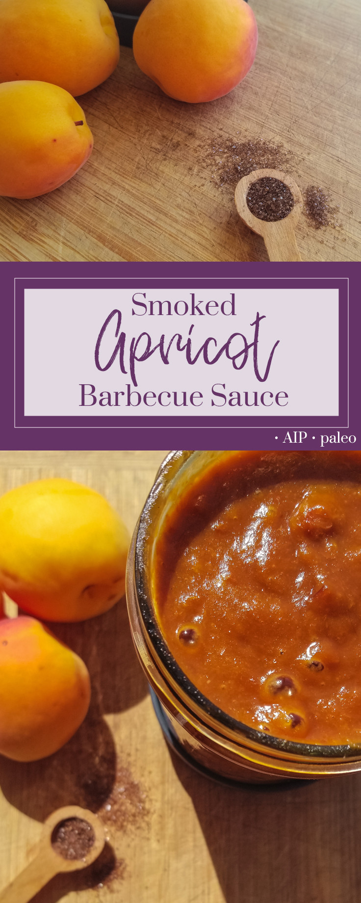Aip Bbq Sauce
 Smoked Apricot AIP Barbecue Sauce