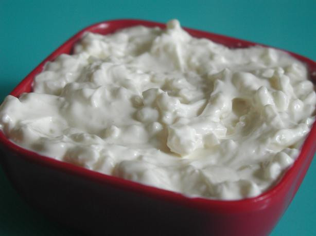 Alton Brown Onion Dip
 ion Dip From Scratch Recipe Food