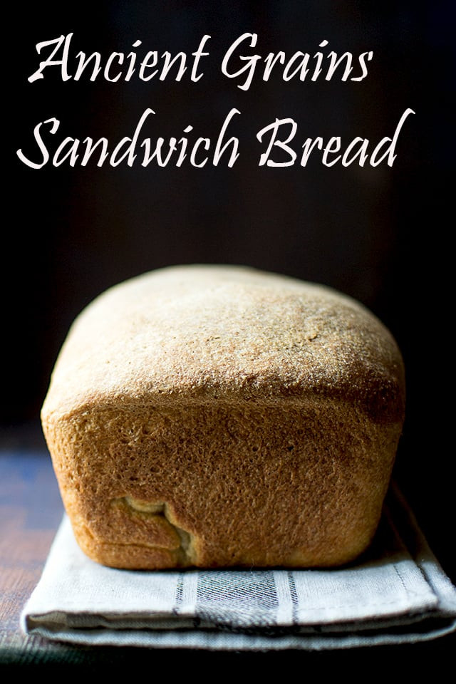 Ancient Grain Bread Recipes
 Ancient Grains Sandwich Bread Recipe