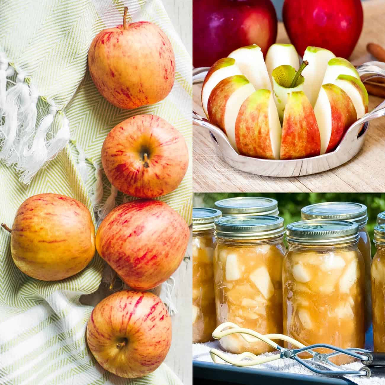 Apple Pie Filling Canning
 Canning Easy Apple Pie Filling Recipe for Pies Crisps and
