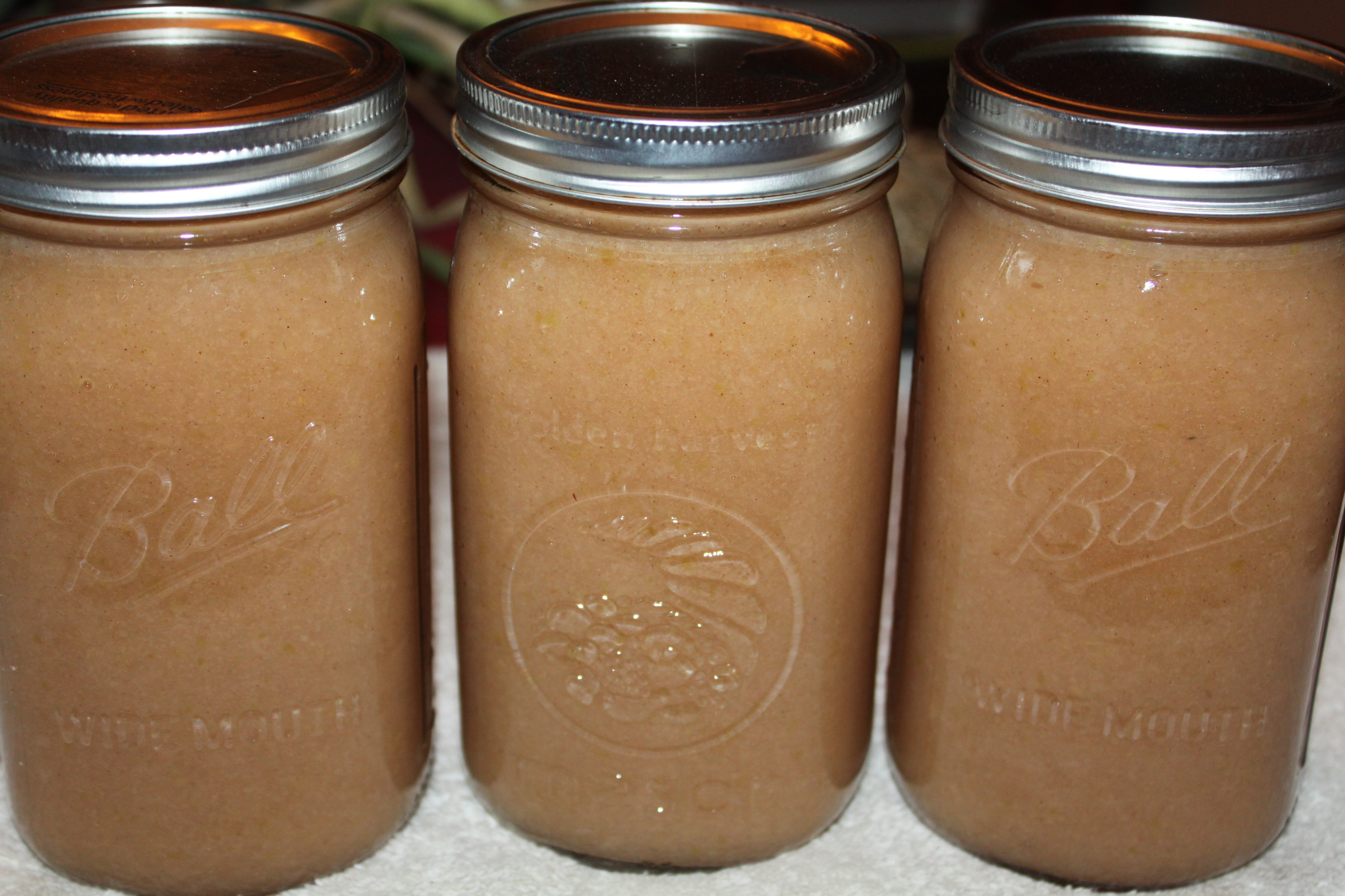 Applesauce Canning Recipe
 The Secrets to Canning Apple Sauce Recipe of the Week