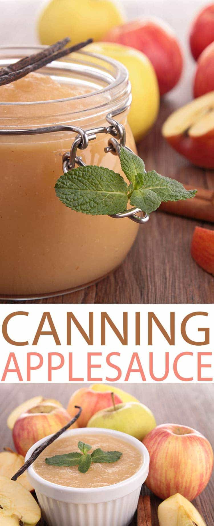 Applesauce Canning Recipe
 Best Applesauce Recipe for Canning