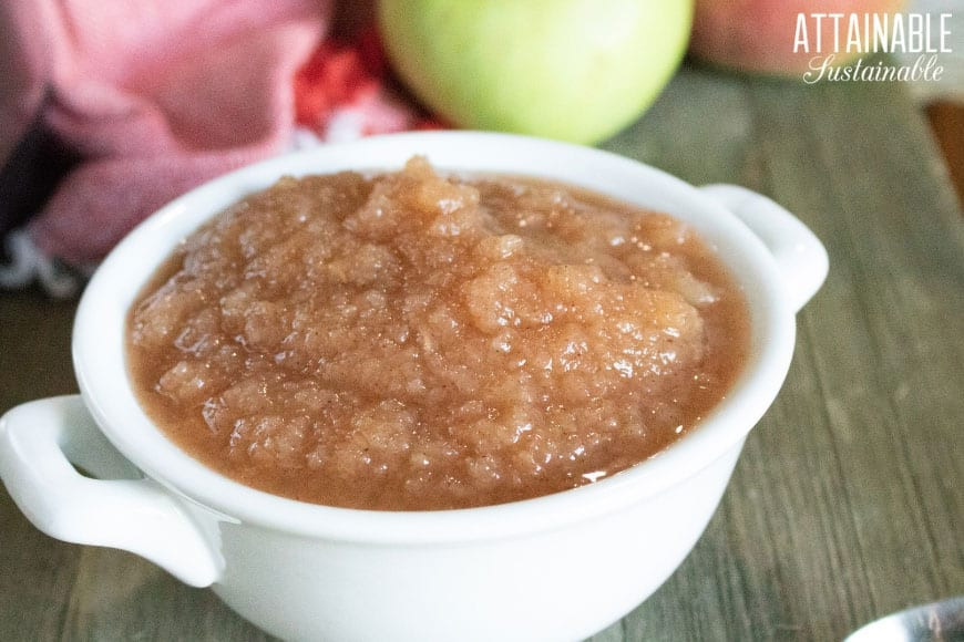 Applesauce Recipe For Canning
 Homemade Applesauce Recipe Canning Applesauce or Enjoy