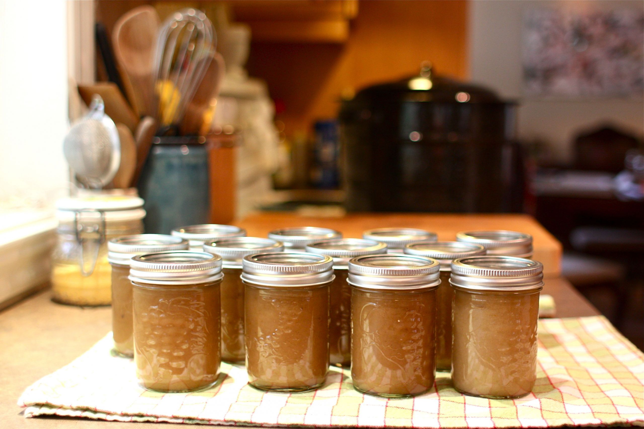 Applesauce Recipe For Canning
 Top 23 Canning Homemade Applesauce Best Round Up Recipe