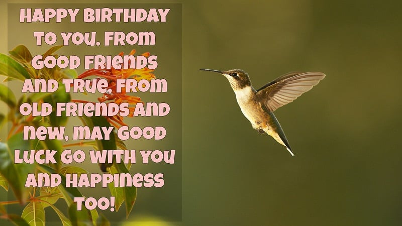 April Birthday Quotes
 30 Latest April Birthday Wishes Quotes Messages Cards