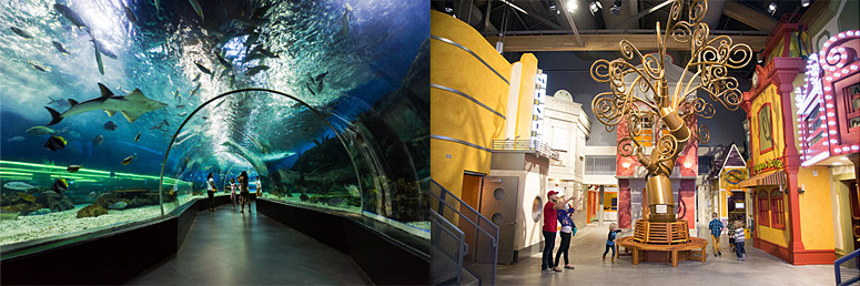 Aquarium Thanksgiving Point
 Which is better Museum of Curiosity or Living Planet
