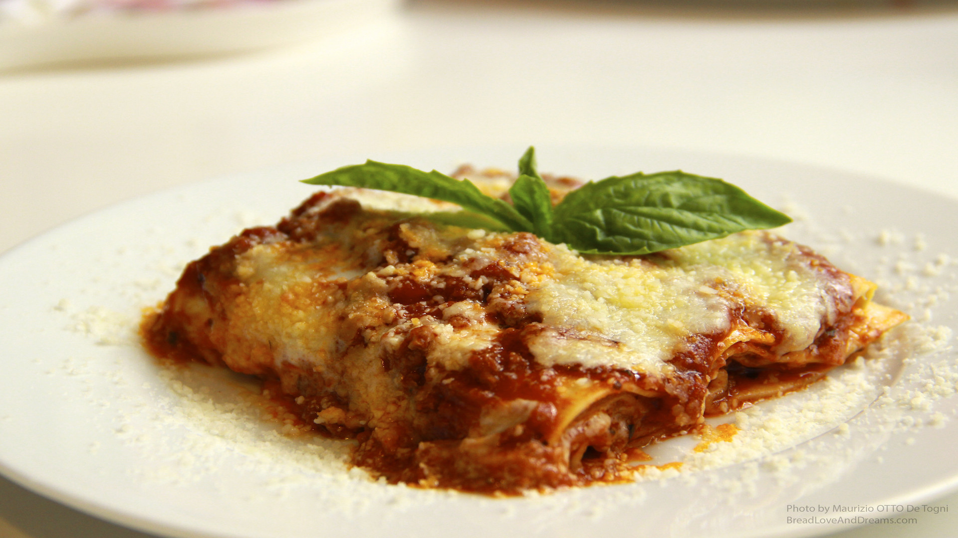 Authentic Italian Lasagna Recipe
 Authentic Italian lasagna iloveitalianfood