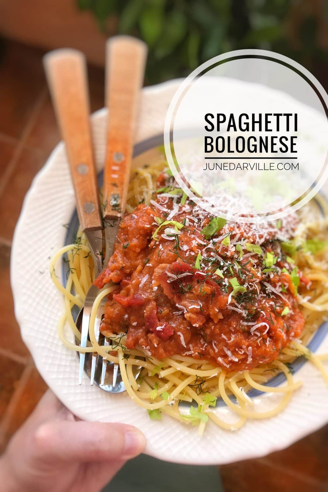 Authentic Italian Spaghetti Sauce Recipes
 Authentic Italian Spaghetti Sauce Recipe From Scratch