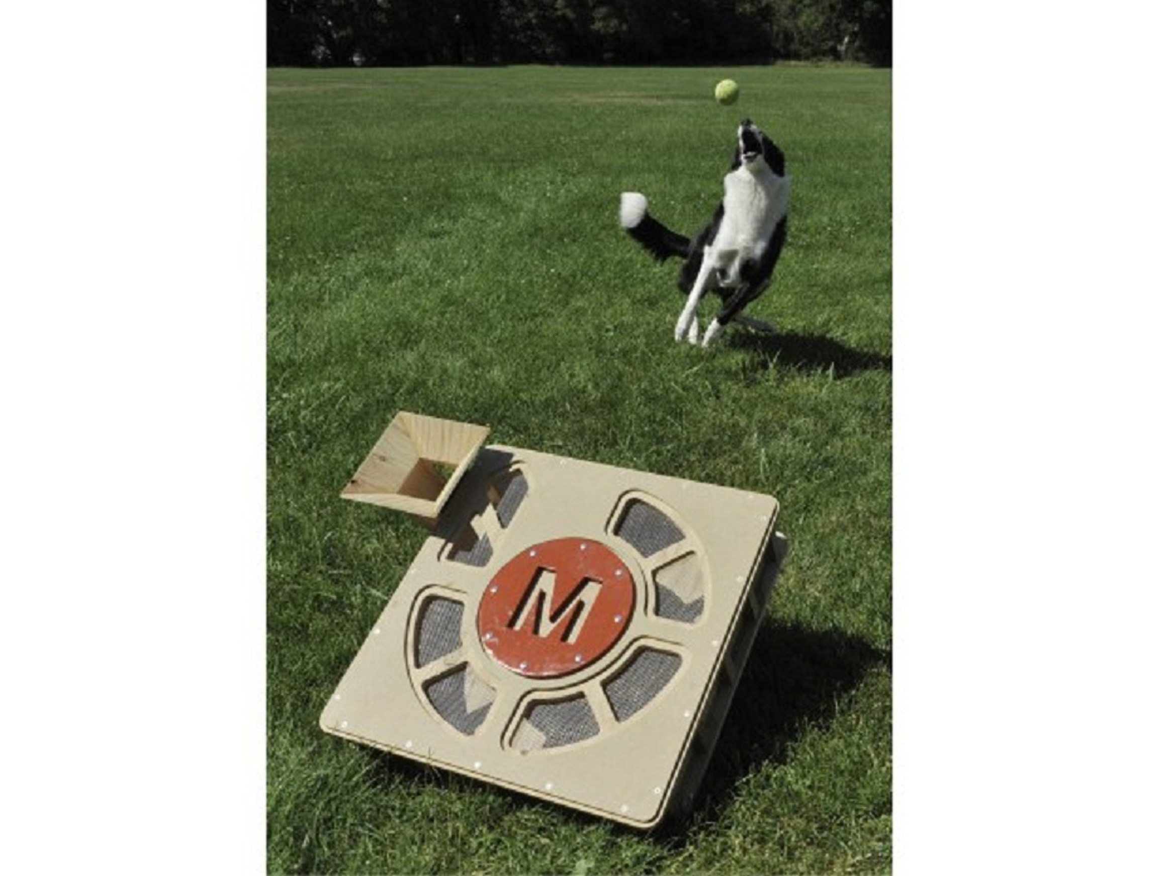 Automatic Ball Thrower For Dogs DIY
 10 Perfect DIY Projects for Makers Who Love Their Pets