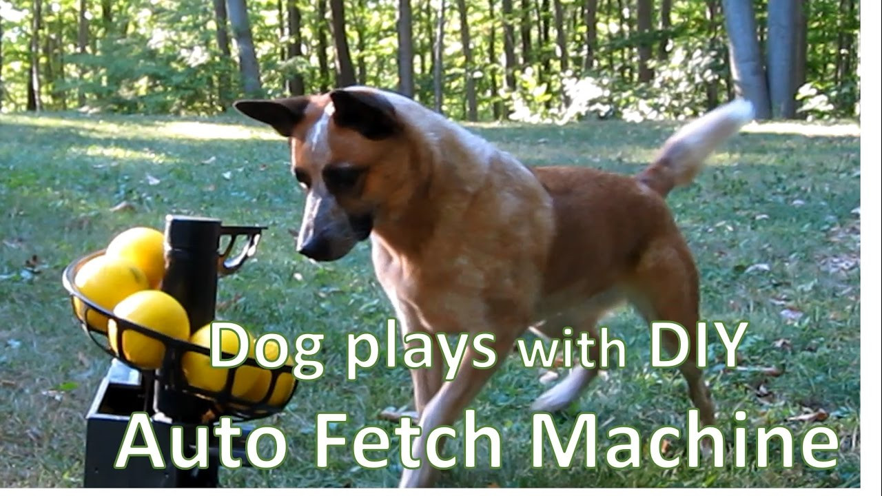 Automatic Ball Thrower For Dogs DIY
 diy remote controlled automatic ball launcher for dogs