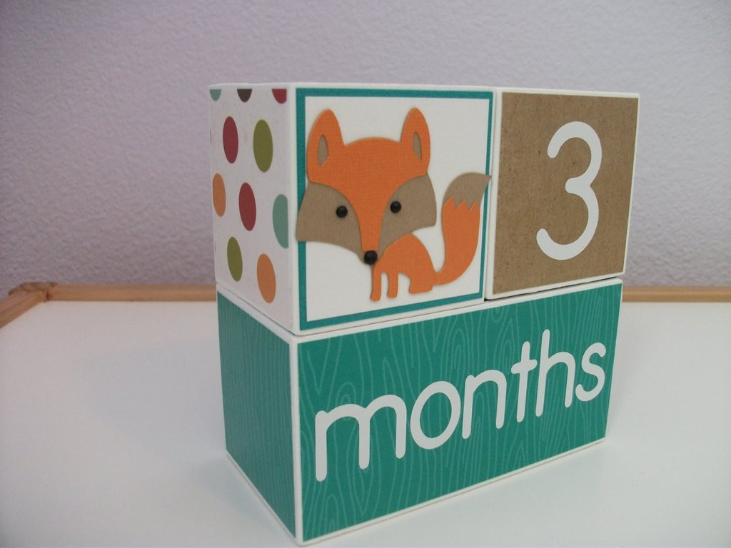 Baby Age Blocks DIY
 Baby Age Blocks Monthly Baby Blocks – Bitsy Blocks