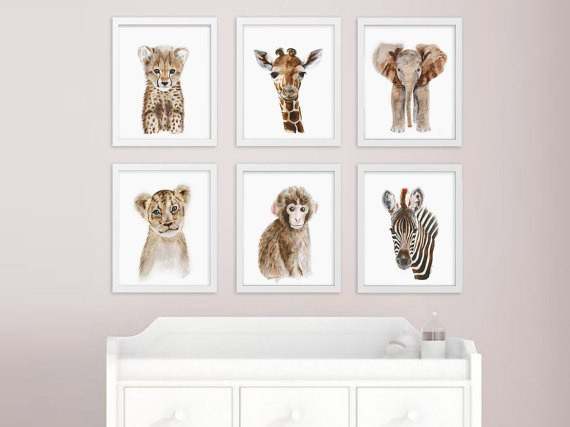 Baby Animal Nursery Decor
 Amazing Animal Decor for Baby’s Nursery