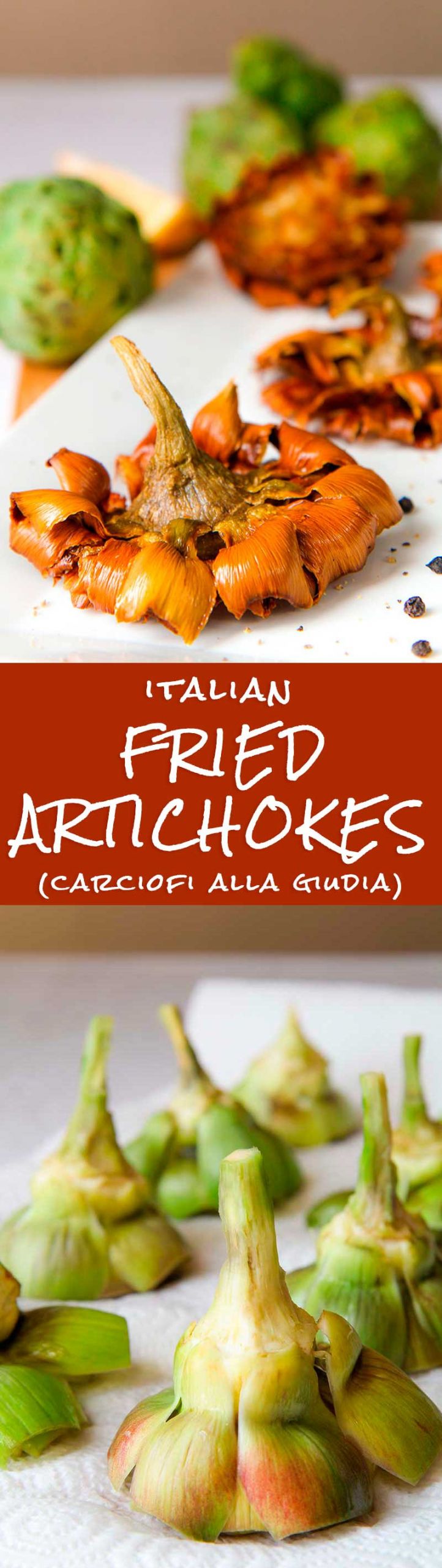 Baby Artichokes Recipes
 fried baby artichoke recipes