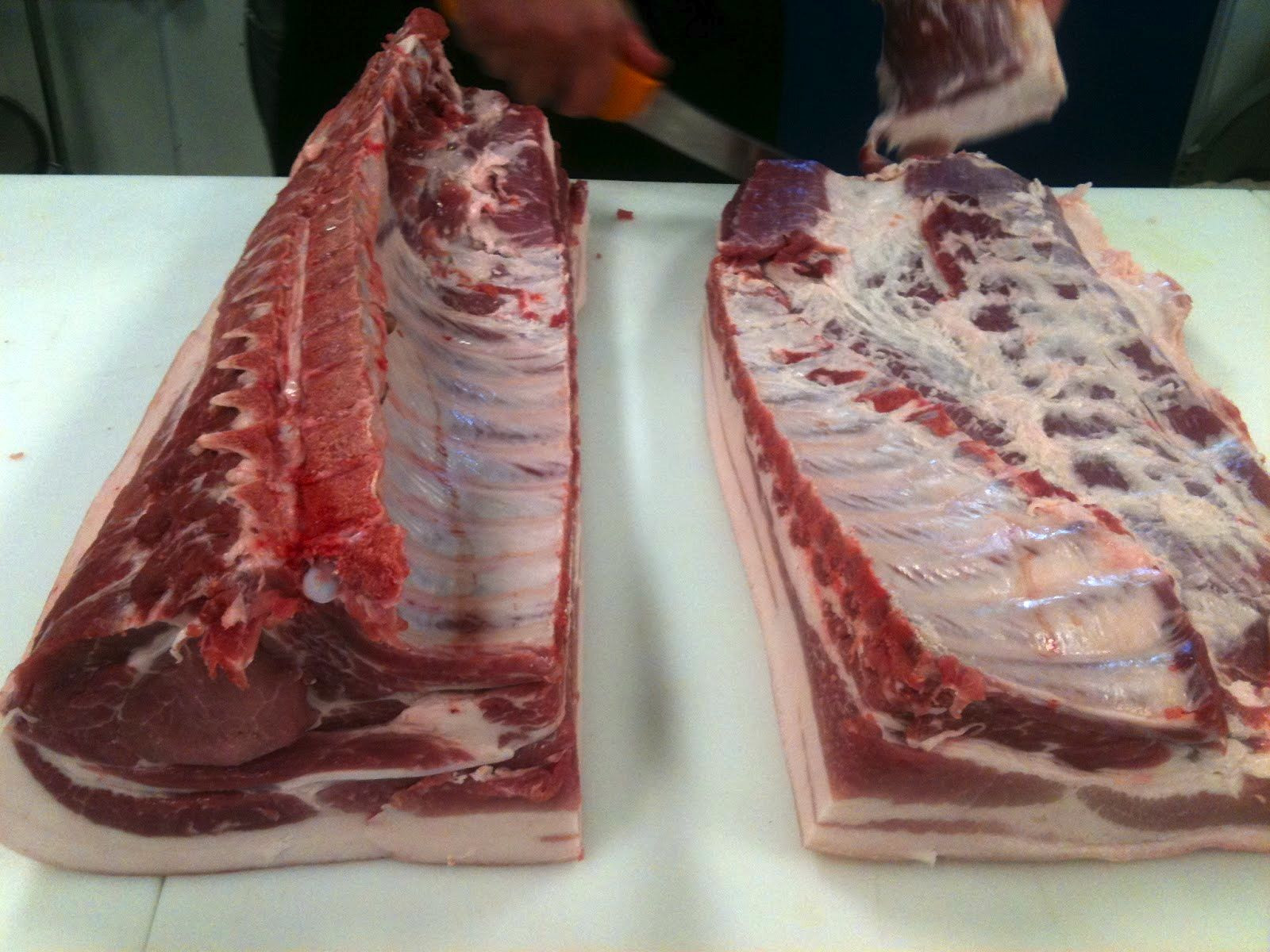 Baby Back Ribs Pork Or Beef
 BBQ Anatomy 101 Pork Ribs