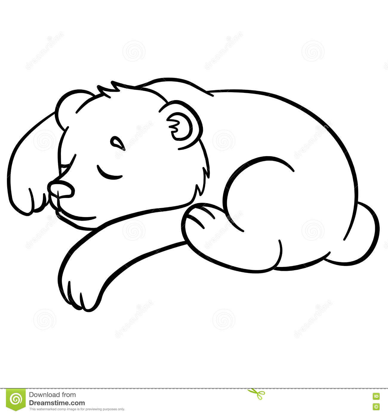 Baby Bear Coloring Pages
 Coloring Pages Wild Animals Little Cute Baby Bear Sleeps