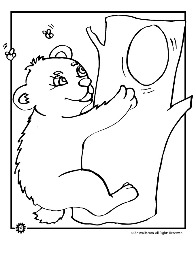 Baby Bear Coloring Pages
 Baby Bear Coloring Page