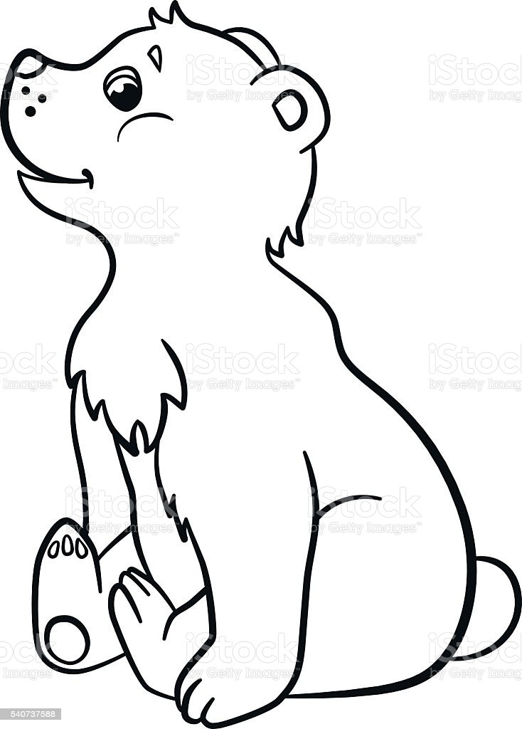 Baby Bear Coloring Pages
 Coloring Pages Wild Animals Little Cute Baby Bear Stock