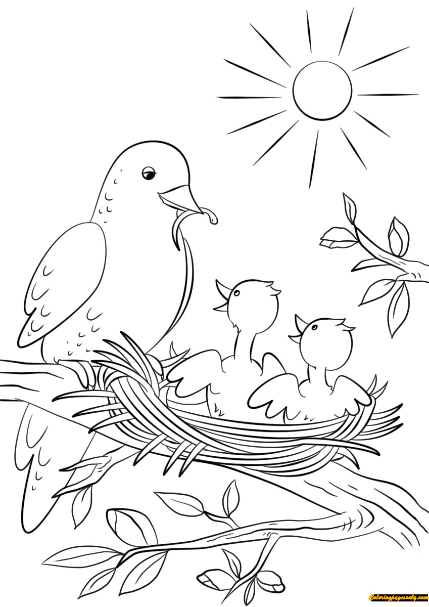 Baby Bird Coloring Page
 Mother Bird Feeding Two Babies Coloring Page Free