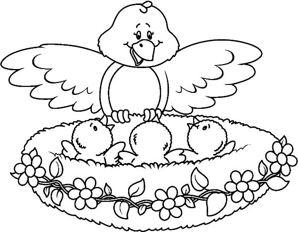 Baby Bird Coloring Page
 Mother Surprised Her Babies In Bird Nest Coloring Pages