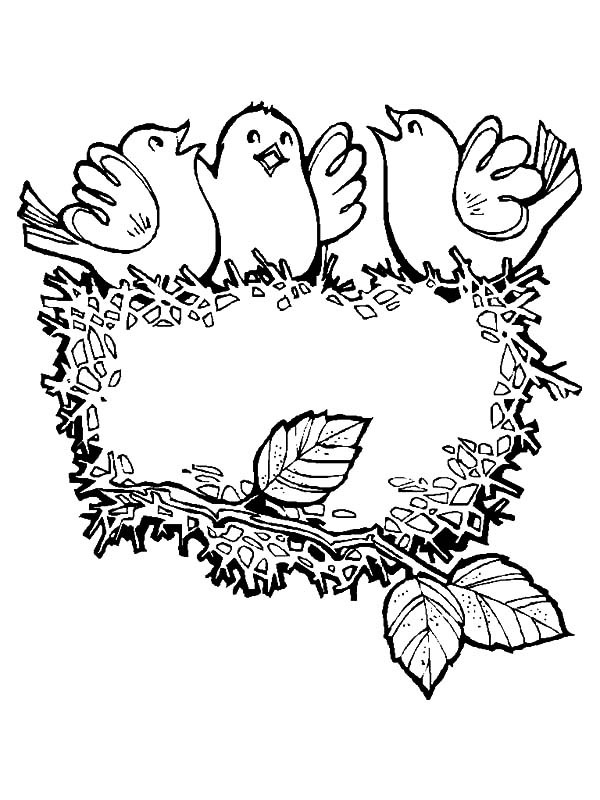 Baby Bird Coloring Page
 Baby Bird Singing In Their Bird Nest Coloring Pages Best