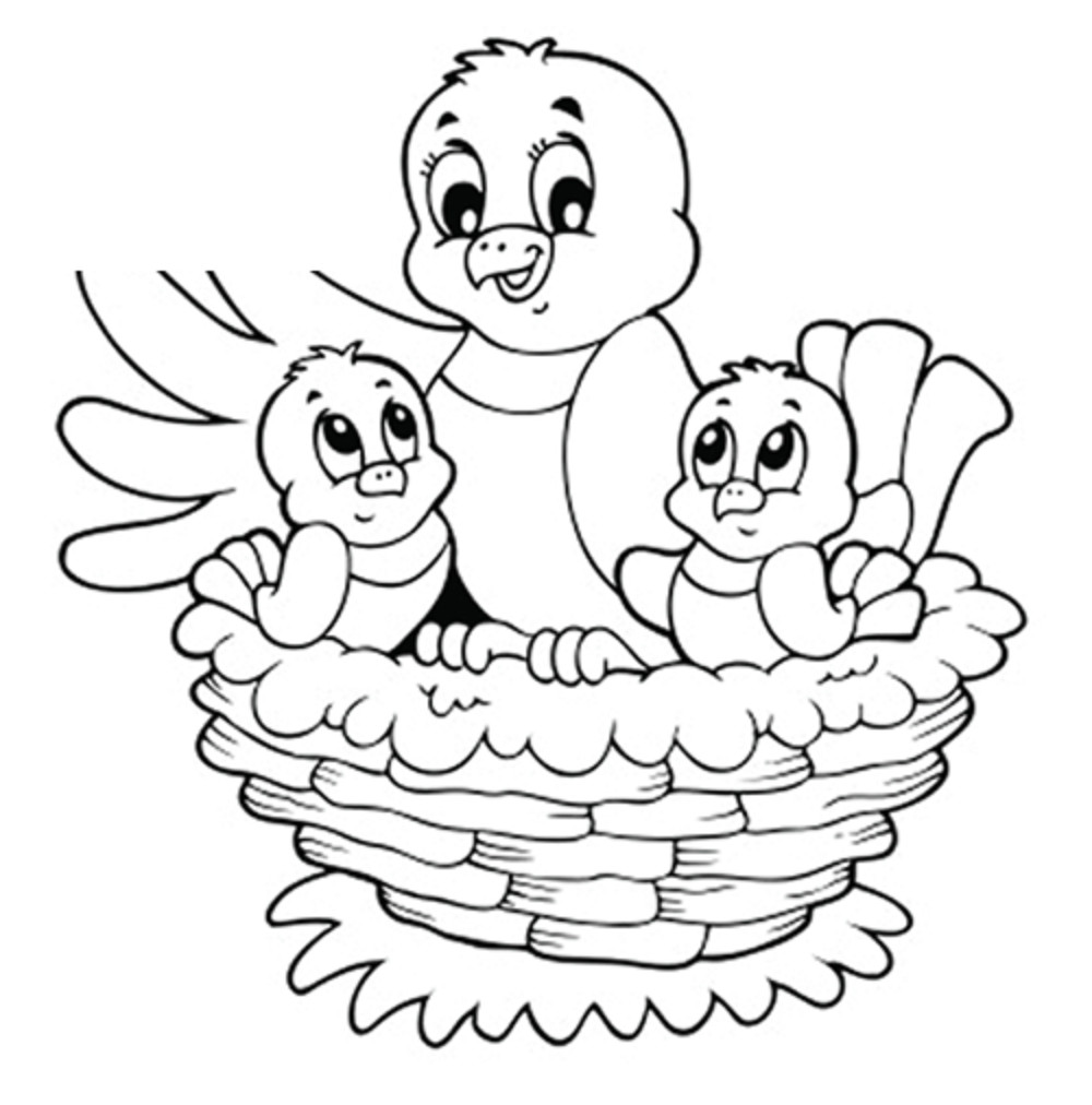 Baby Bird Coloring Page
 Baby Birds In Nest Coloring Pages