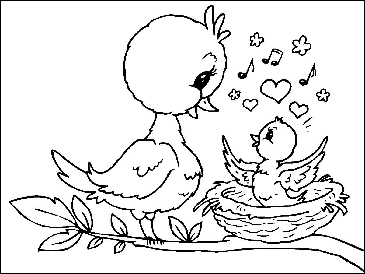 Baby Bird Coloring Page
 Mother Bird And Baby Bird Coloring Page Free Printable