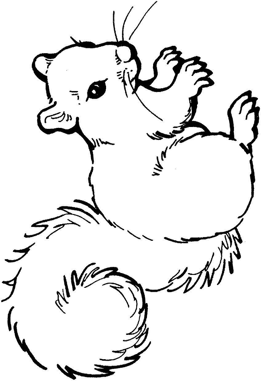 Baby Bird Coloring Page
 free coloring pages of baby birds in nest