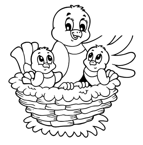 Baby Bird Coloring Page
 Birds Nest Drawing at GetDrawings