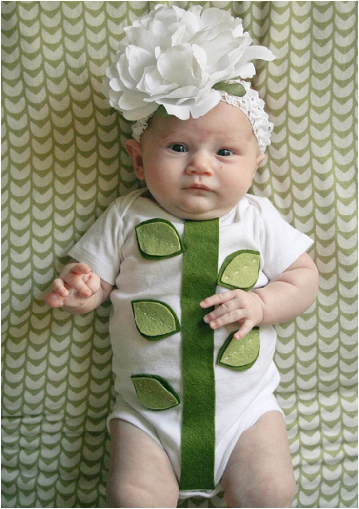 Baby Costume DIY
 Top 10 Adorable DIY Baby Costumes Top Inspired