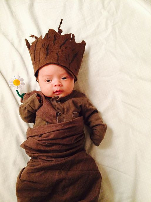 Baby Costume DIY
 Check Out These 50 Creative Baby Costumes For All Kinds of