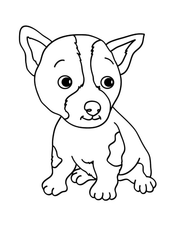 Baby Dog Coloring Pages
 NetArt 1 Place for Coloring for Kids Part 7