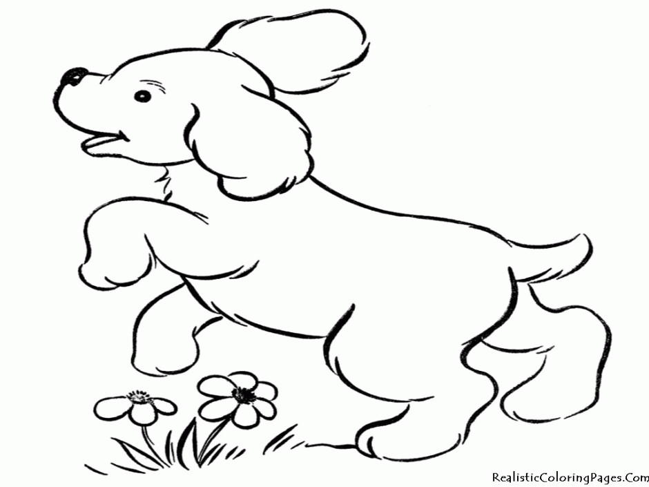 Baby Dog Coloring Pages
 Baby Puppy Coloring Pages Coloring Home