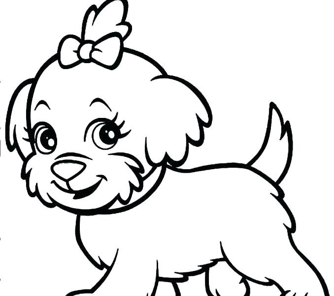 Baby Dog Coloring Pages
 Baby Husky Coloring Pages at GetColorings