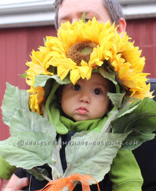 Baby Flower Halloween Costumes
 Easiest Ever and Most Adorable Homemade Baby Sunflower Costume