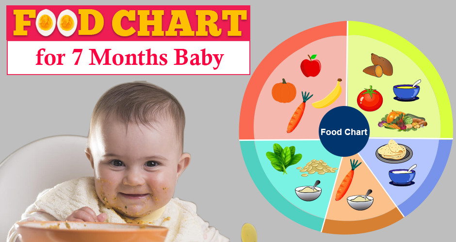 Baby Food Recipes 7 Months
 Food Chart for 7 Months Baby with Recipe and Timetable