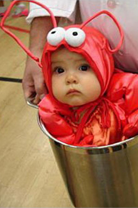 Baby Halloween Costumes Diy
 Cute DIY Baby Halloween Costume Ideas Best Homemade