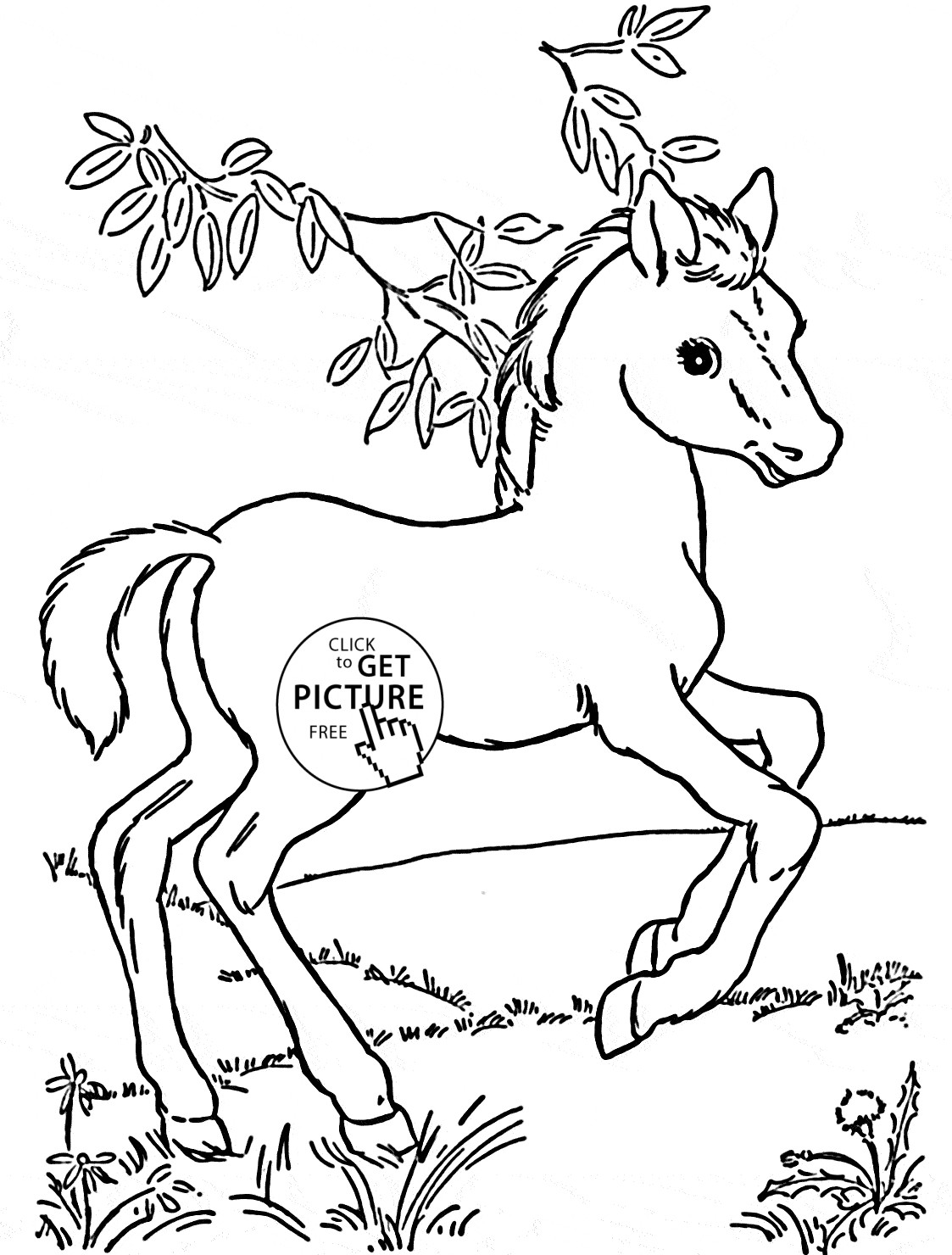Baby Horse Coloring Pages
 Baby Horse Pony coloring page for kids for girls coloring