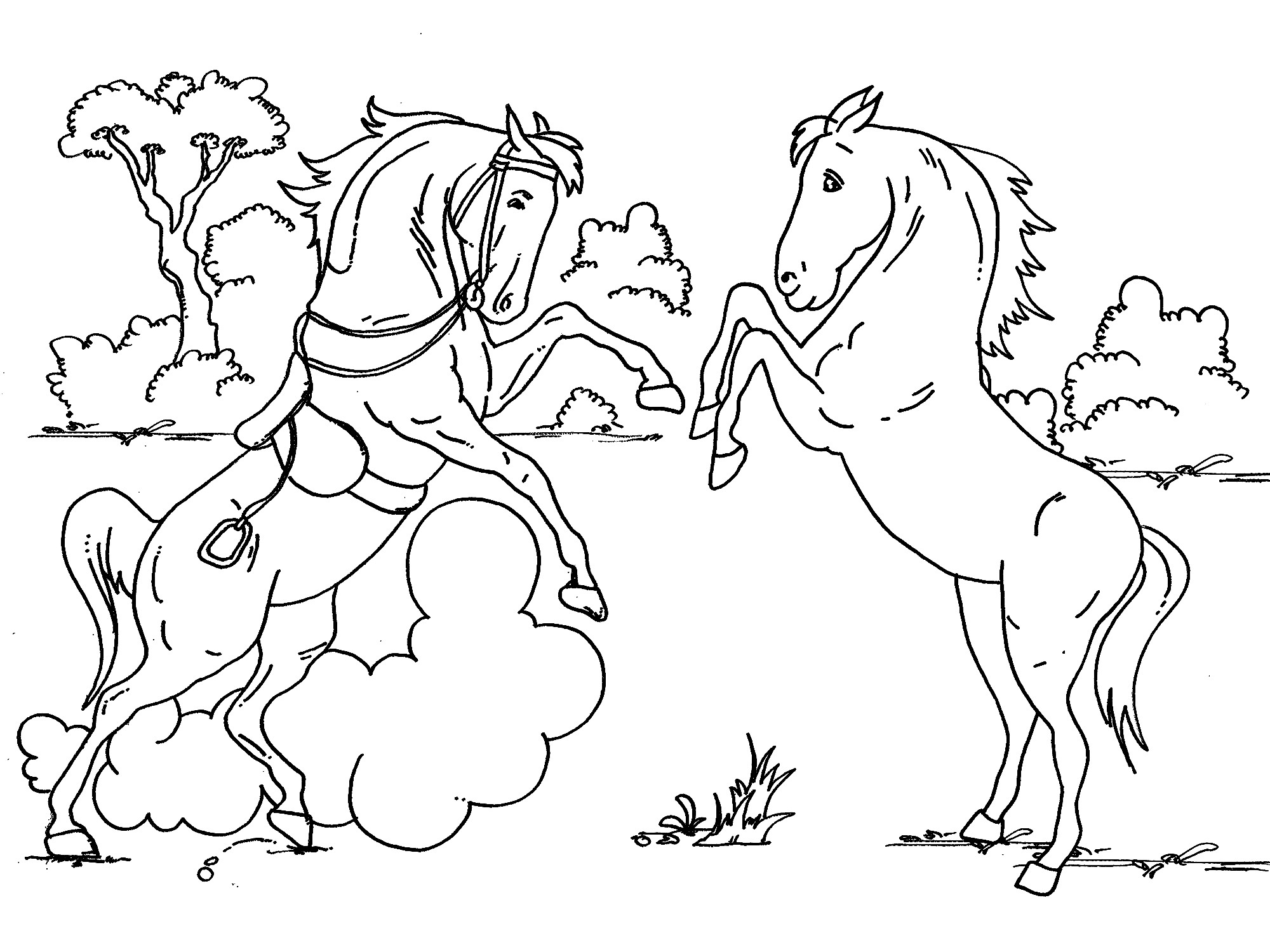 Baby Horse Coloring Pages
 Coloring Pages Horses Printable