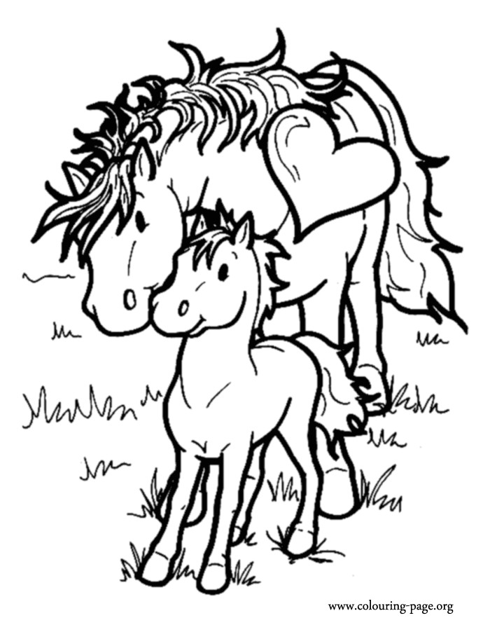 Baby Horse Coloring Pages
 Horses Mother and baby horse coloring page