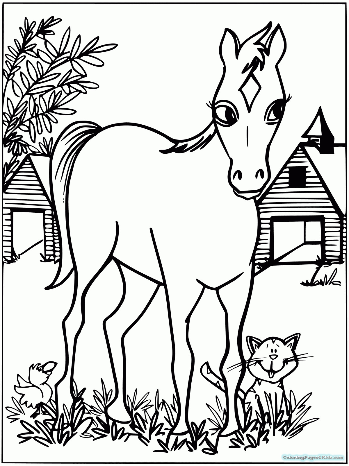 Baby Horse Coloring Pages
 Baby Horse Coloring Pages