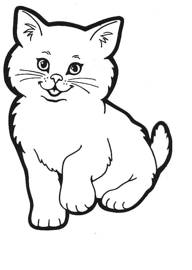 Baby Kitty Coloring Pages
 Cute Baby Cats Coloring Pages Animal
