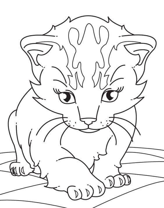 Baby Kitty Coloring Pages
 30 Free Printable Kitten Coloring Pages Kitty Coloring