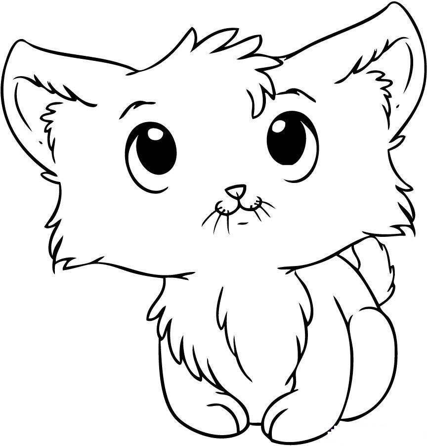 Baby Kitty Coloring Pages
 Kitten Coloring Pages Best Coloring Pages For Kids